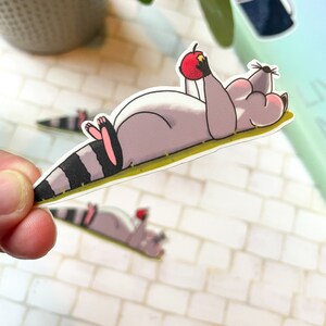 Sticker raton laveur grignotant | Sticker pour agenda|Sticker pour ordinateur portable|Sticker imperméable