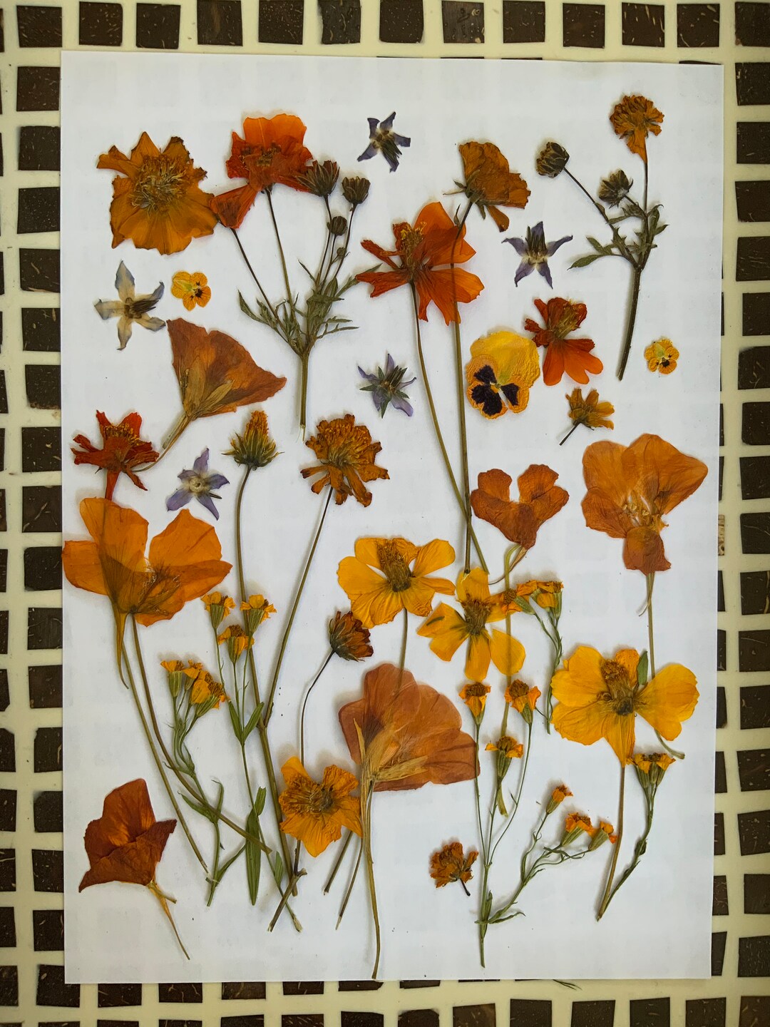 Edible Pressed Flowers, Dried Pressed Flowers, Cake Decoration Etsy Australia