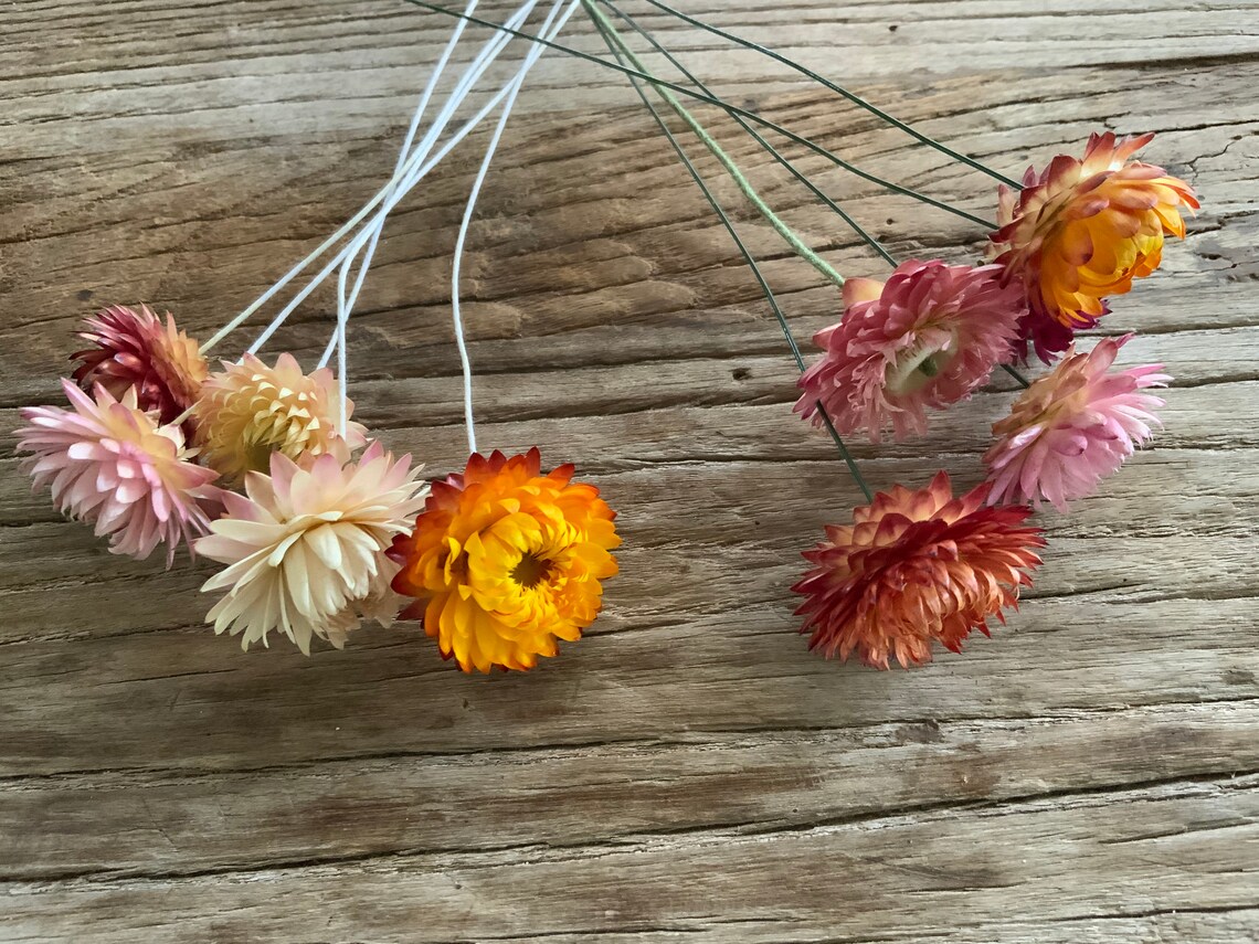 Wired straw flowers dried flowers dried bouquet wedding Etsy