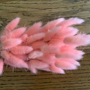 60 hot pink bunny tails, dried bunny tails, pink bunnies, dried flowers
