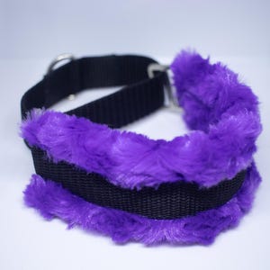 Custom Agility Martingale | Dog Martingale | Minky Martingale
