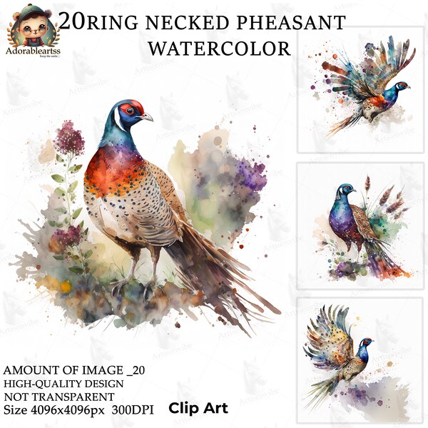 Ring Necked Pheasant Watercolor Clipart, Paper Craft, 20 High Quality, Commercial Use, Card Making, Digital JPG's Download_83AV