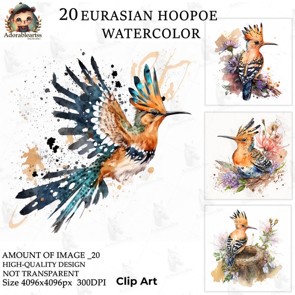 Eurasian Hoopoe Watercolor Clipart, Nursery Book Art, Paper Craft, 20 High Quality, Commercial Use, Card Making, Digital JPG's Download_81AV