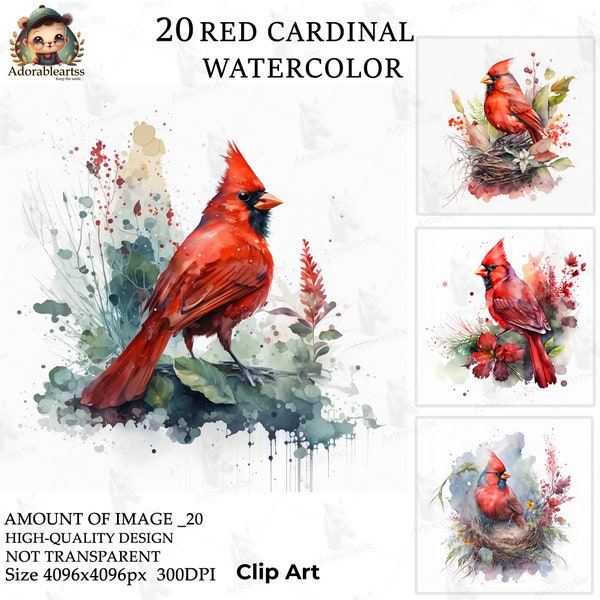 Red Cardinal Watercolor Clipart, Nursery Book Art, Paper Craft, 20 High Quality, Commercial Use, Card Making, Digital JPG's Download_62AV