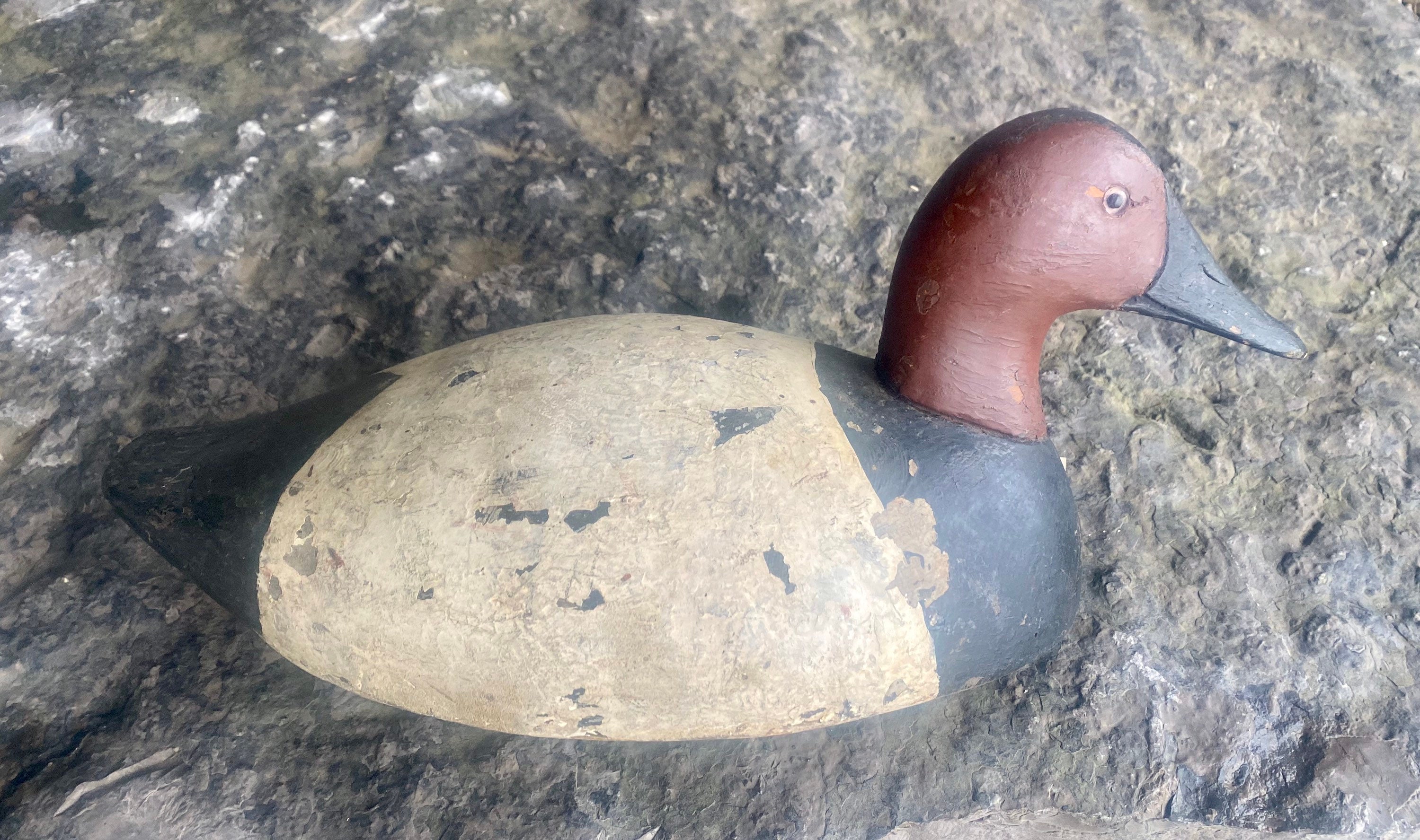 Canvasback Drake wooden Gunning Decoy 16 long Etsy