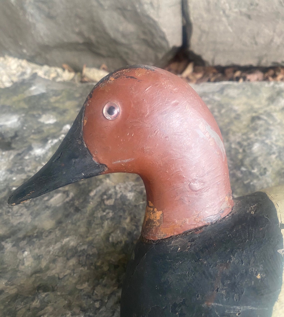 Canvasback Drake wooden Gunning Decoy 16 long Etsy