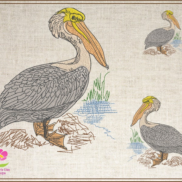 Pelican Machine Embroidery Design, Custom Embroidery Pattern, Audubon Bird Design, Instant Download, 10 Sizes (0613)