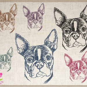 Boston Terrier Sketch Machine Embroidery Design, Dog Embroidery Pattern, Pet Machine Embroidery, Animal Embroidery 4 Sizes (0506)