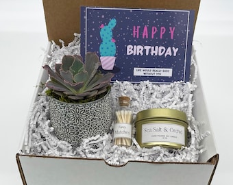 Happy Birthday Gift Box| Happy Birthday Gift| Custom Gift Box| Gift Box| Succulent Gift Box| Succulents| Birthday Gift| Birthday Gift Box