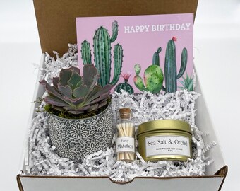 Happy Birthday Gift Box| Happy Birthday Gift| Custom Gift Box| Gift Box| Succulent Gift Box| Succulents| Birthday Gift| Birthday Gift Box