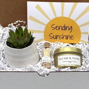 May include: A gift box with a succulent in a white ceramic pot, a small jar of matches, and a gold candle labeled "Sea Salt & Orchid." A card with a yellow sun and the words "Sending Sunshine" is also included.