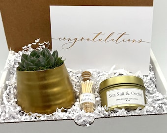 May include: A gift box containing a succulent in a gold pot, a small jar of matches, a gold candle labeled "Sea Salt & Orchid", and a card with the word "congratulations" in gold script.
