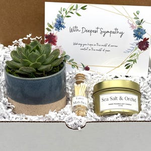 Bereavement Care Package, Sympathy Gift, Condolence Gift Box, Succulent Gift Box, With Deepest Sympathy, Thinking of you