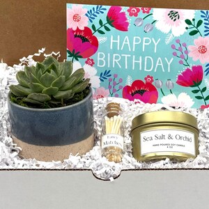 May include: A gift box containing a succulent in a blue and beige pot, a "Happy Birthday" card with floral design, a small jar of matches, and a gold-colored candle labeled "Sea Salt & Orchid". The box is filled with white paper shreds.