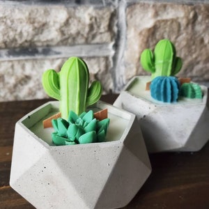 Cactus Candle Large | Succulent Candle | Terrarium Candle| Woodwick| Gift| Concrete | Home Decor | Wedding Favors| Modern Candle|