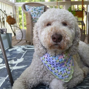 Leuke gehaakte bandana voor huisdieren| Kattenbandana| Hondenbandana| Handgemaakte bandana| Cadeau voor huisdieren