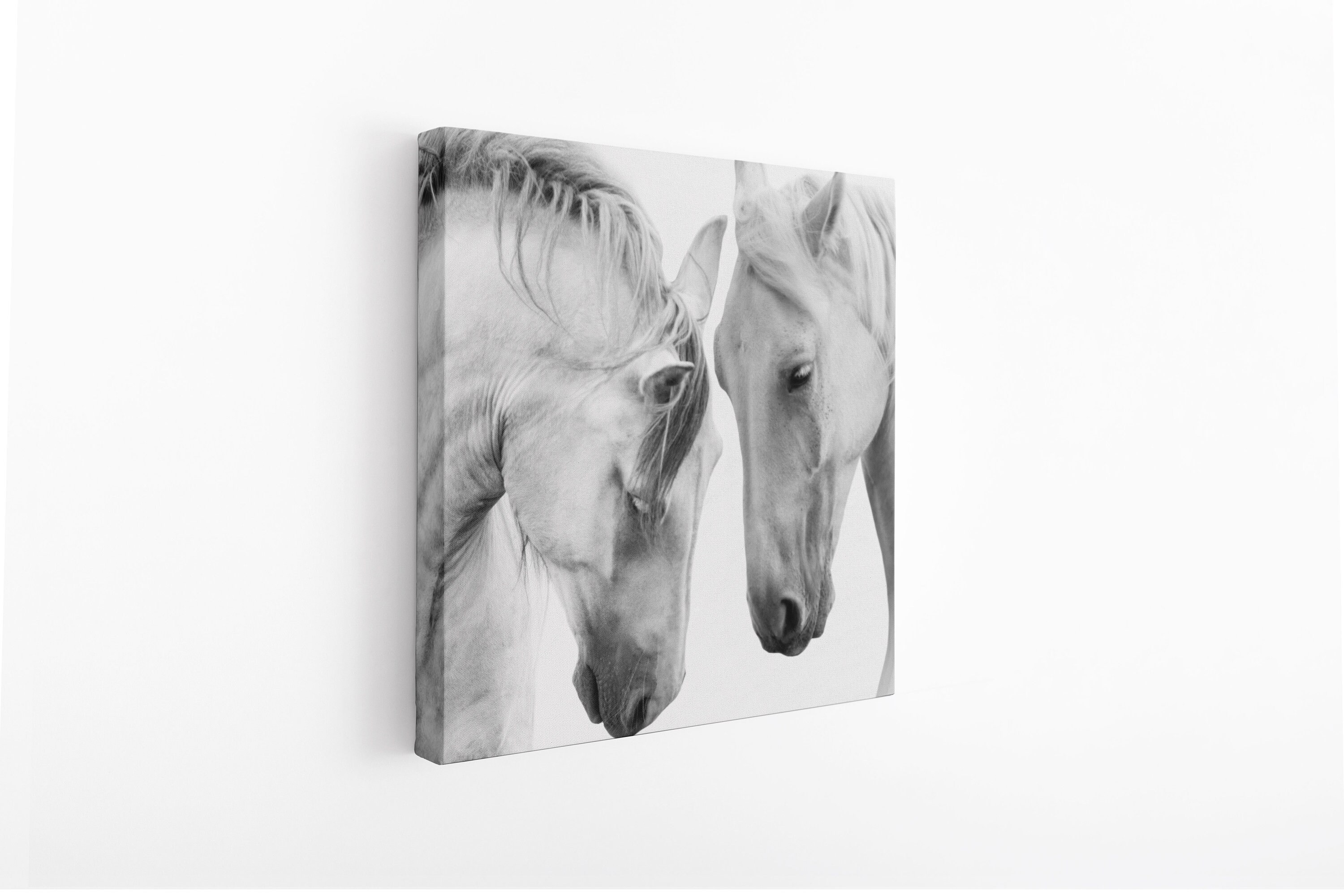 Horses Wall Decor Horses Print glass Printing Canvas Wall Etsy