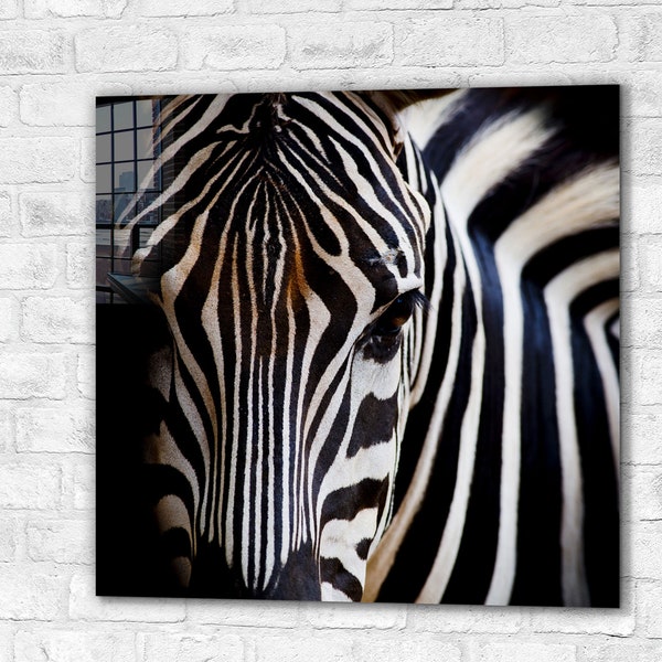 Zebra Print Glass Etsy