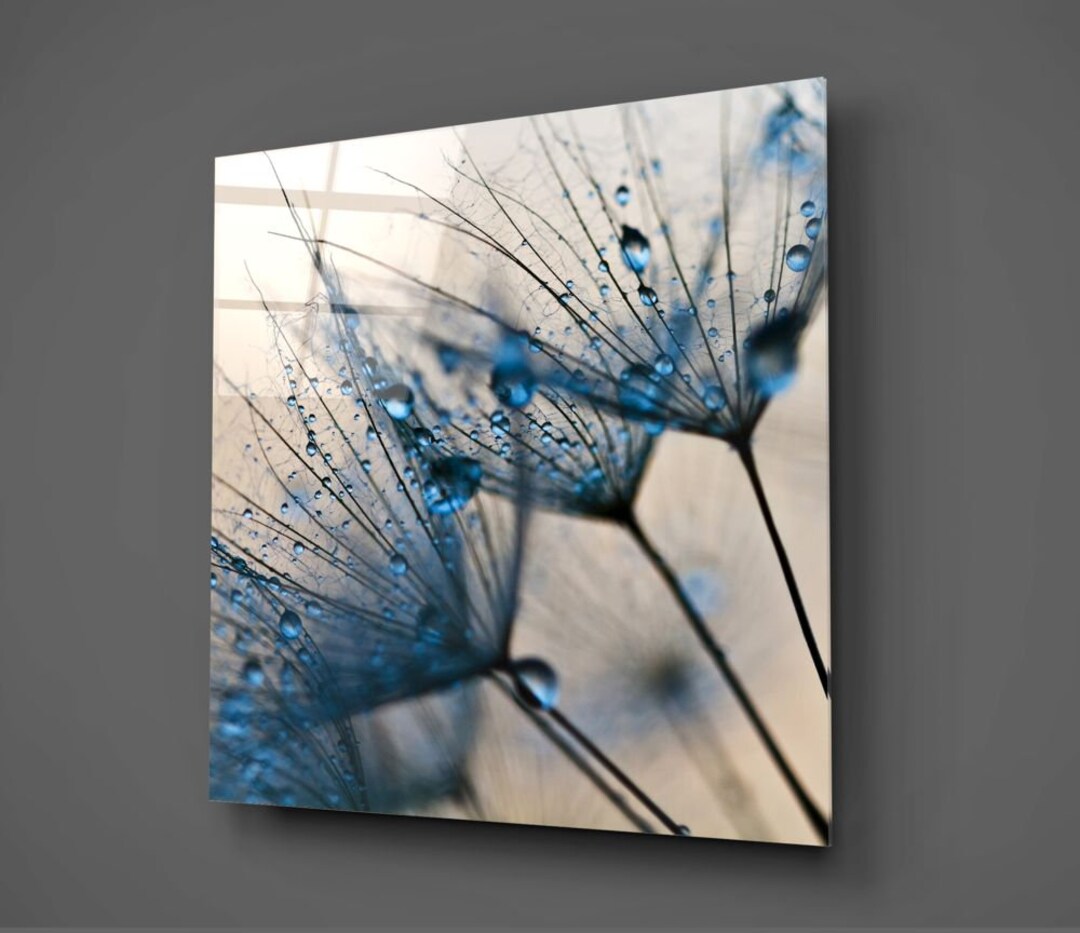 Dandelion Flowers Print ,glass Printing , Tempered Glass Printing, Room ...