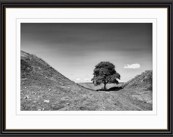 Sycamore Gap, Hadrians Wall - Black and White Fine Art Print Wall Poster, Gift for Home, Anniversary Gift, Birthday Gift, House Warming