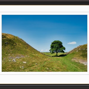 Sycamore Gap, Hadrians Wall - Giclée Fine Art Print Wall Poster, Gift for Home, Anniversary Gift, Birthday Gift, House Warming