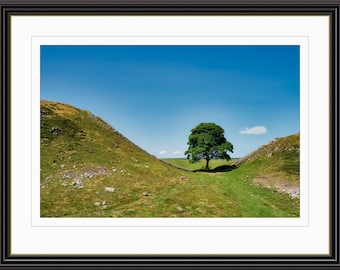 Sycamore Gap, Hadrians Wall - Giclée Fine Art Print Wall Poster, Gift for Home, Anniversary Gift, Birthday Gift, House Warming