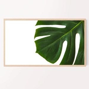 Samsung Frame Tv Arts Plants-Modern Plants-Digital Download- Art TV Samsung Frame TV Art | Boho Modern Plants Neutral Earthy Tones