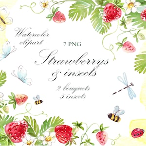 Fraises Clipart Aquarelle Fraises Cadres Bouquets Clip Art, fruits d’été clipart, UTILISATION COMMERCIALE, mariage png, clipart imprimable