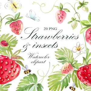 Clipart fraise aquarelle, fruits d'été lumineux peints à la main, clipart été, UTILISATION COMMERCIALE, mariage png, clipart imprimable, téléchargement
