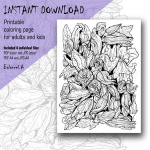 Printable Coloring Page, Botanic coloring page 8,5” x 11” and A4, Coloring sheets for Adult and Kids, Instant Download, PCP7