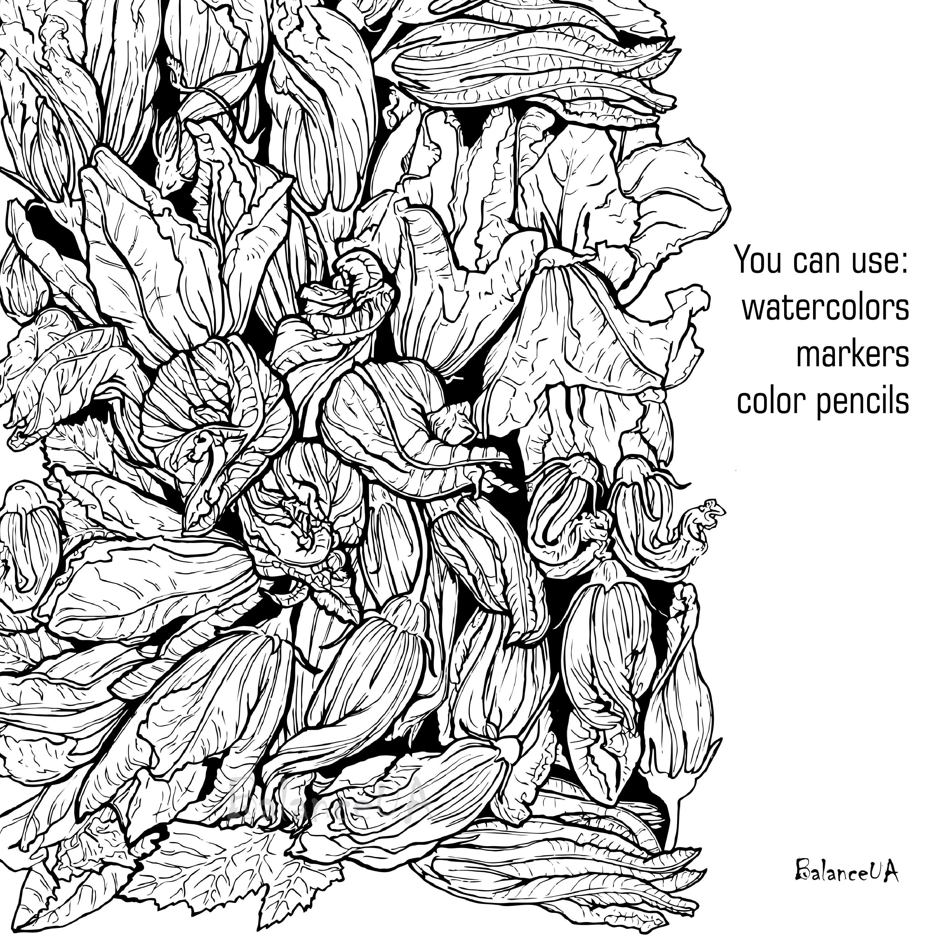 Printable Coloring Page Botanic Coloring Page 85 X 11 and - Etsy