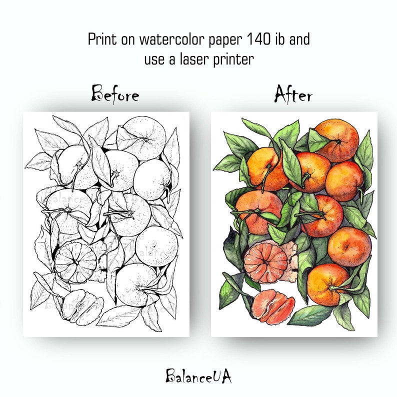 Printable Coloring Page Botanical Coloring Page 85 X 11 - Etsy