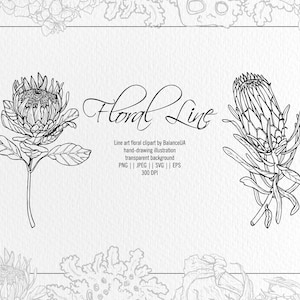 Floral Linie Kunst Clipart, Botanische Clipart, Linie Blume Clipart SVG, minimalistische Kunst Linie Art Blume, Instant Download
