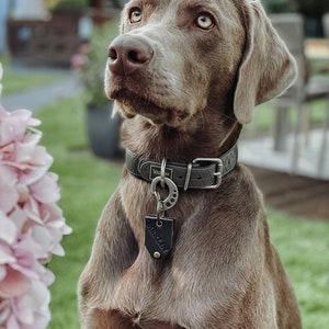 Hundemarkentasche, Leder, Steuermarken, Antiklimper, Schutztasche, Lederhülle, Etui für Marken, Anhänger, graviert, Markentasche, Hundemarke Bild 5