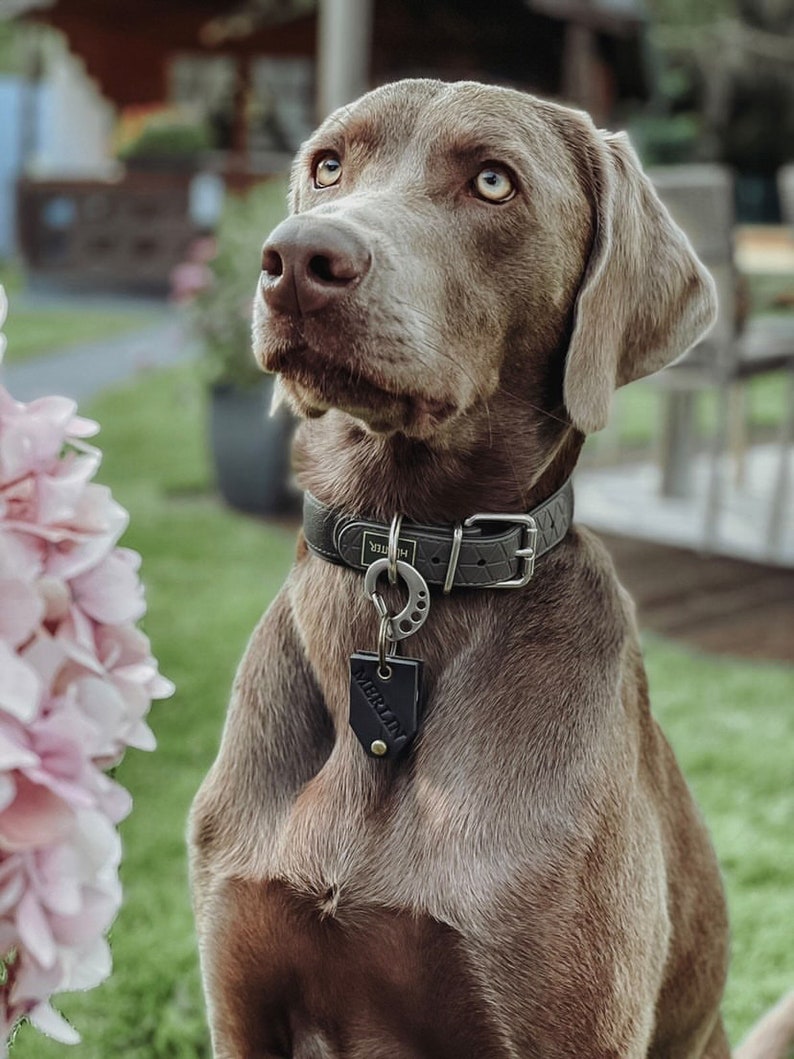 Hundemarkentasche, Leder, Steuermarken, Antiklimper, Schutztasche, Lederhülle, Etui für Marken, Anhänger, graviert, Markentasche, Hundemarke Bild 5