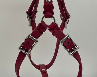 Y-Geschirr CLASSIC aus Fettleder, geflochten, verstellbar, maßgefertigt, Ledergeschirr, Hund, Geschirr, Harness