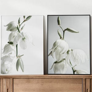 Greenery wall art for modern farmhouse, Yucca digital products, 2 piece wall art, Yucca flower print, Succulent art 5x7