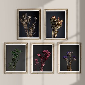 Moody floral print for download, Wildflower print set for farmhouse, Dark botanical wall decor, 5 piece wall art, Plant Photo