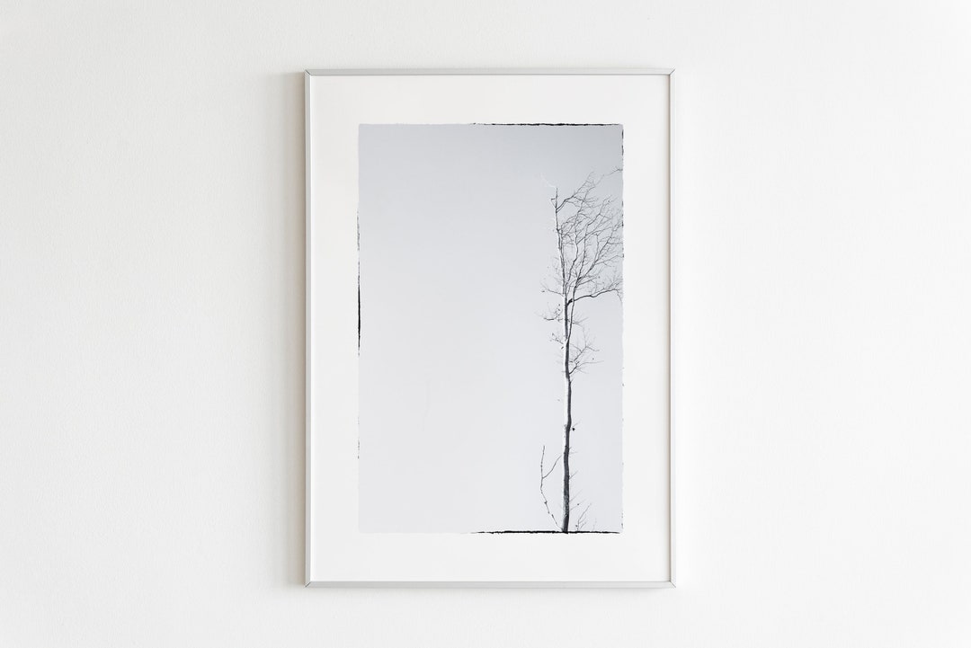 Black and White Tree Print, Minimal Winter Tree, Black White Home Decor ...