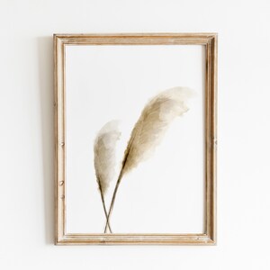 May include: A framed print of two dried pampas grass stems in shades of beige and brown against a white background.