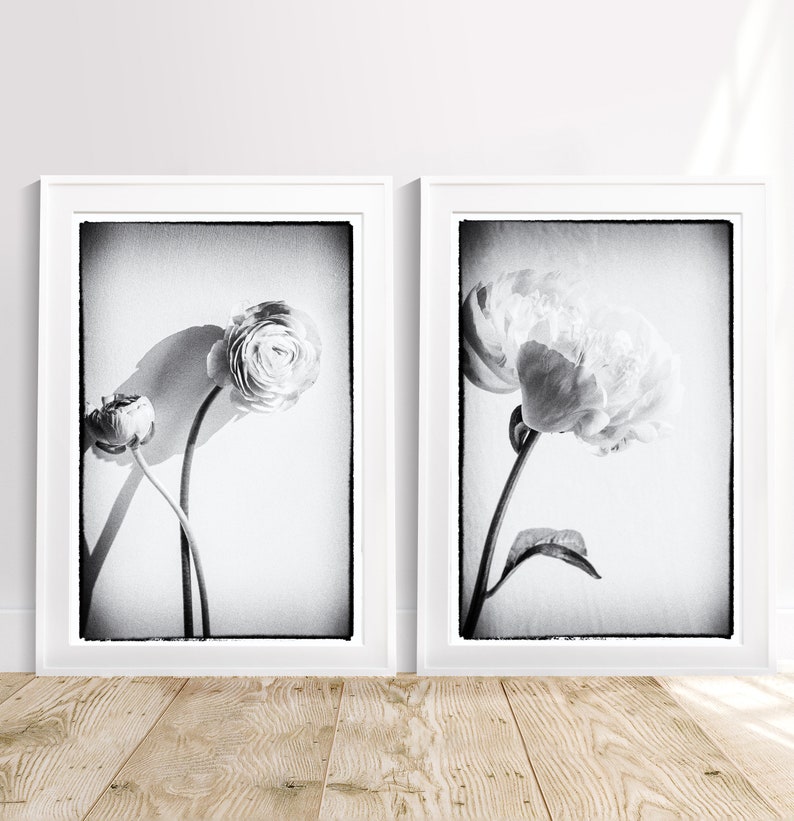Set of 2 Black White Print, Flower Wall Art, Black White Photography