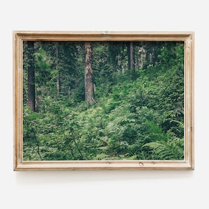Forest Print, Digital Print, Photography Poster Print, Natural Tones, Art Print, Green Poster, Poster Forest Photo, Green Forest Wall Decor