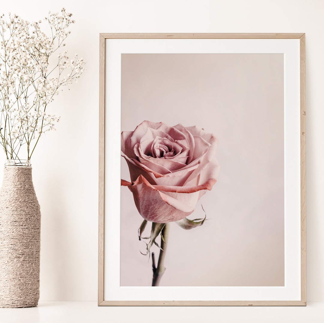 Blush Pink Rose Print, Romantic Wall Art, Rose Flower Printable Wall ...