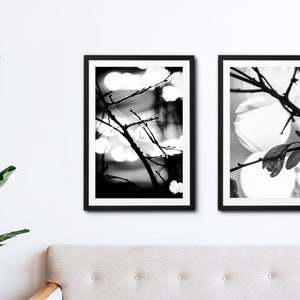 Set di 2 stampe, arte della natura in bianco e nero, alberi fotografici astratti, download digitale, foto arte della natura, arte della parete stampabile, stampe della natura