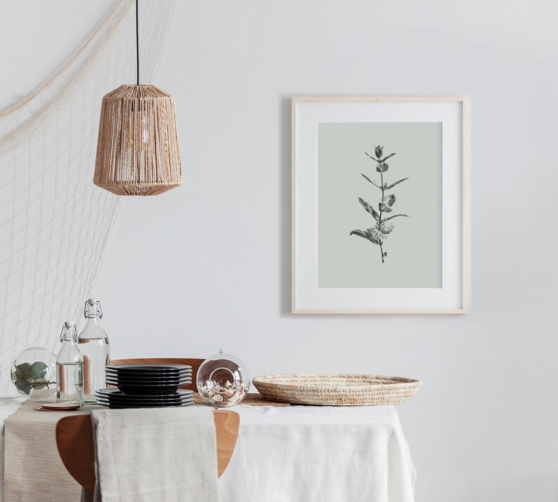 Sage Green Wall Art for Kitchen Minimalist Botanical Herb - Etsy