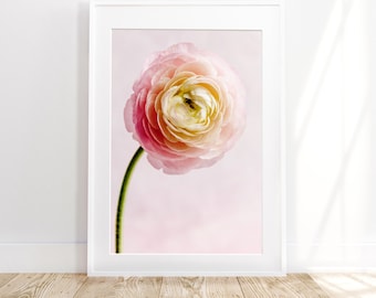 Impressão floral, impressão de flores, fotografia de flores, impressão de flores rosa, arte de parede de ranúnculo, pôster de berçário, foto de flor, pôster rosa para menina