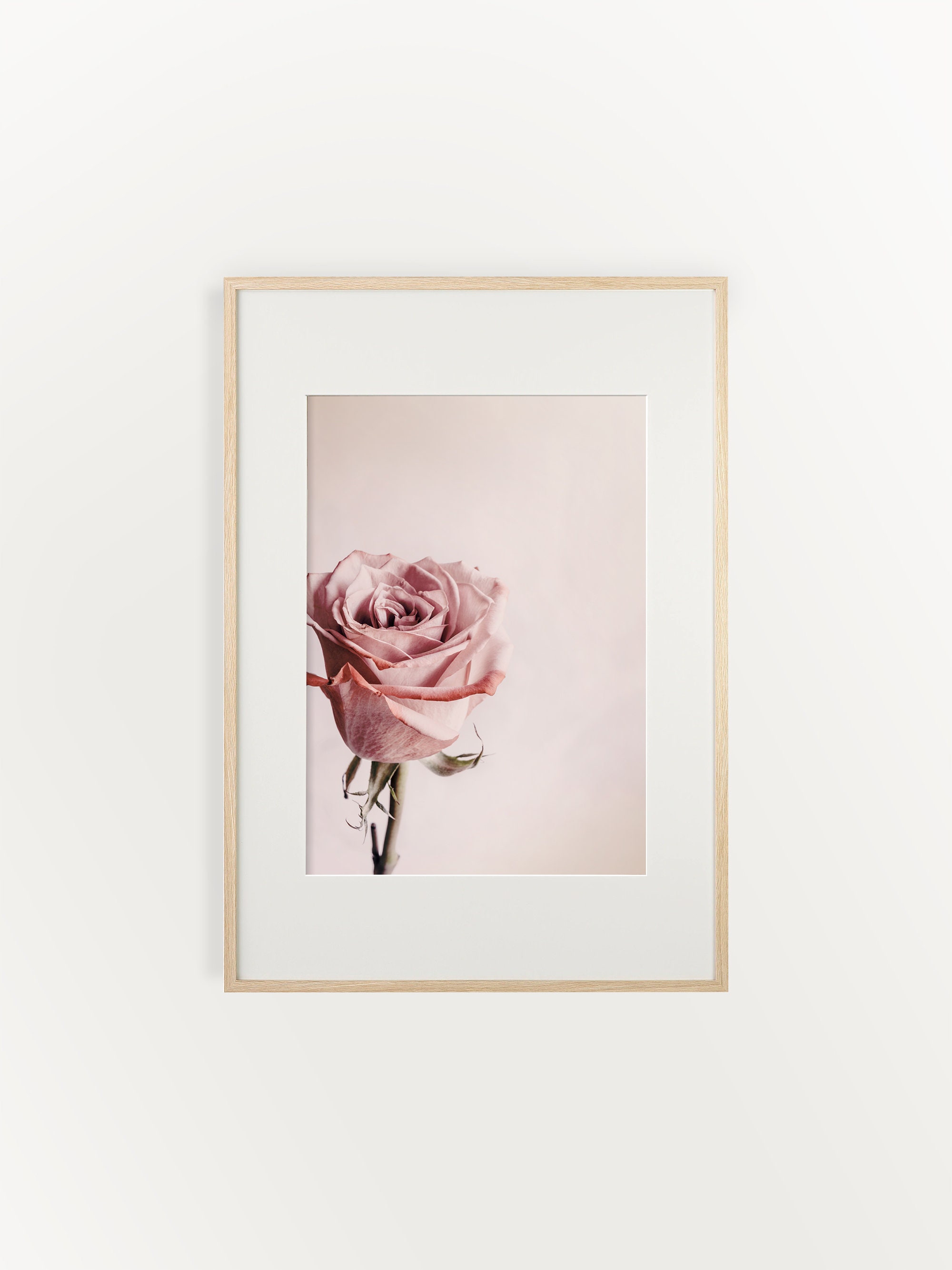 Blush Pink Rose Print, Romantic Wall Art, Rose Flower Printable Wall ...