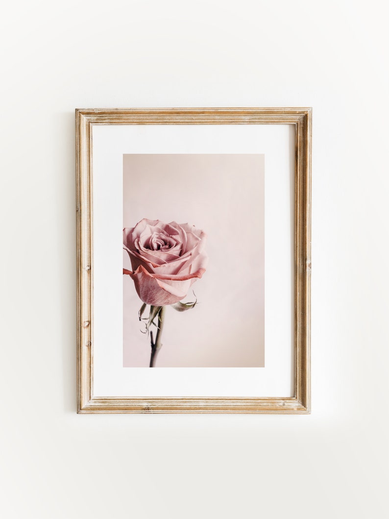 Blush Pink Rose Print, Romantic Wall Art, Rose Flower Printable Wall ...
