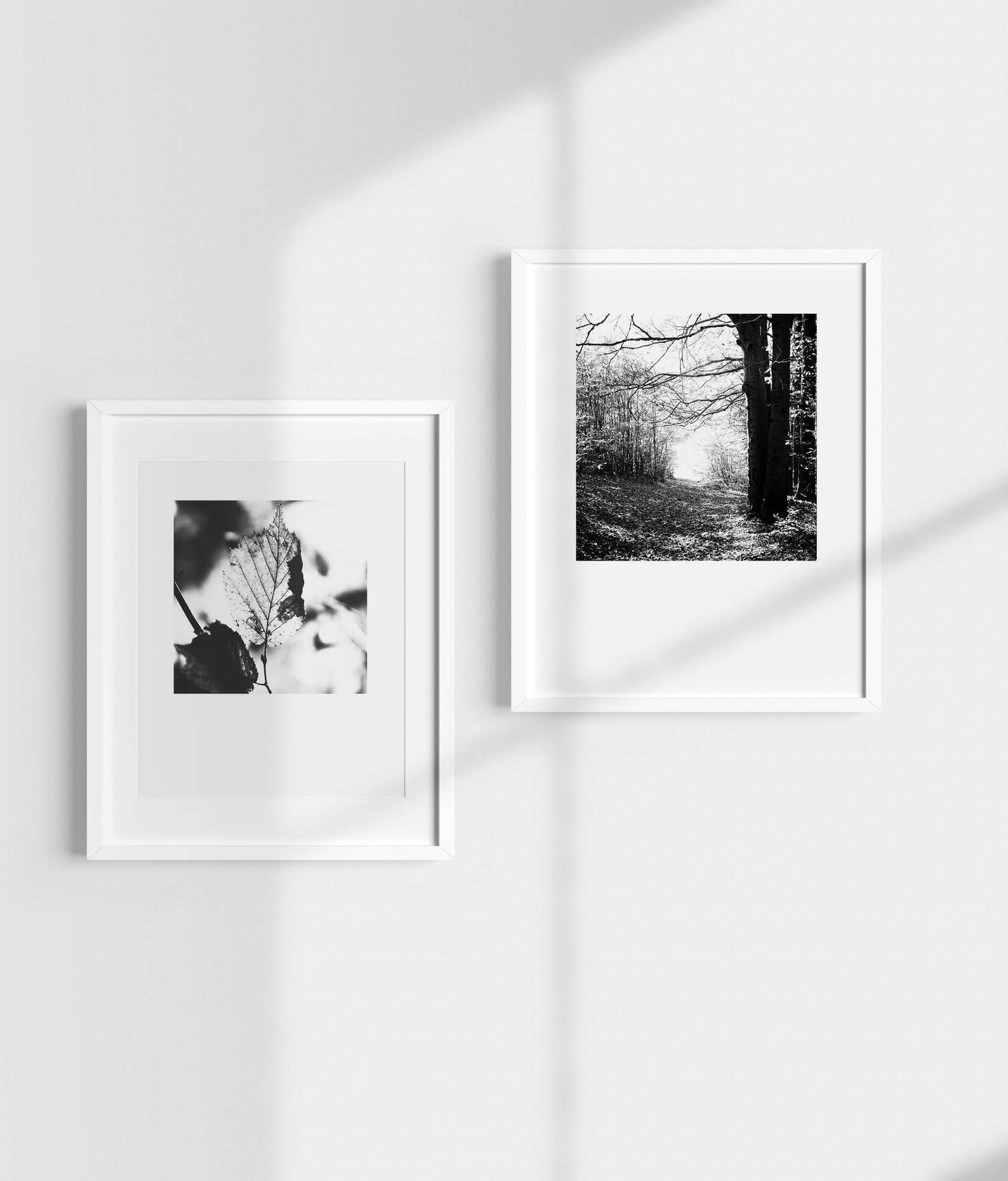 Set of 2 Prints, Black and White Prints, Black and White Decor