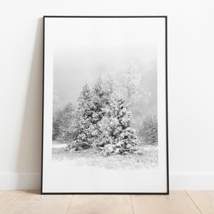 Winter Print Trees Photo, Snowy Forest Landscape, Black & White Christmas Art, Winter Holiday Wall Decor, Ski Lodge Decor, Digital Download